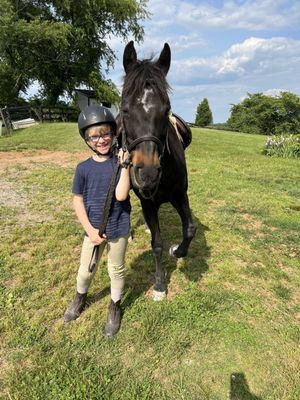 Orchard Manor Show Stables