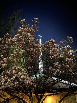 The spire at night