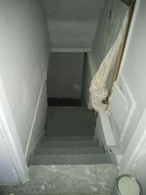 Paint the basement stairs and Walls. And drywall installation.