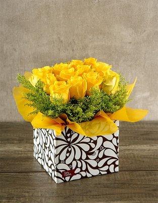 Beautiful yellow roses