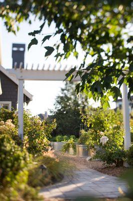 Outdoor garden space and arbor in Petaluma