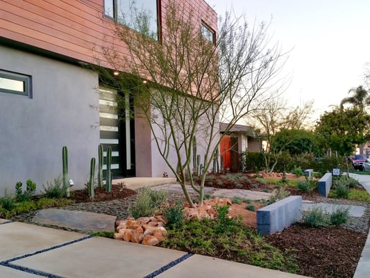 Beautiful green palo verde trees to offset the gray house.