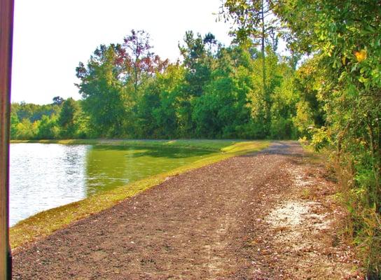 Walking Trail around the Lake