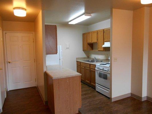 Bright, modern kitchen.