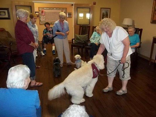 Regular Volunteers Include Therapy Pets