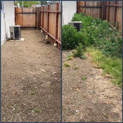 this patio is free of weeds, With an excellent clean up.