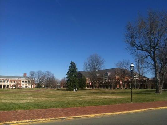 Elon University