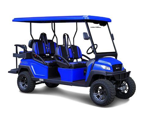 www.coastlinegolfcarts.com/bintelli.html