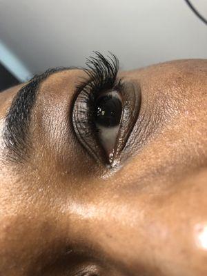 Natural Classic Eyelash  Columbia md