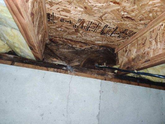 Collapsed sill plate. Floor joist damage missed by Summit Home Inspections of Caldwell, ID.