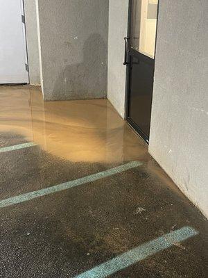 When it rains this is what happens in  this building where i pay $2,000 a month