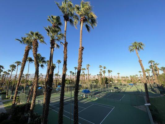 Tennis Courts