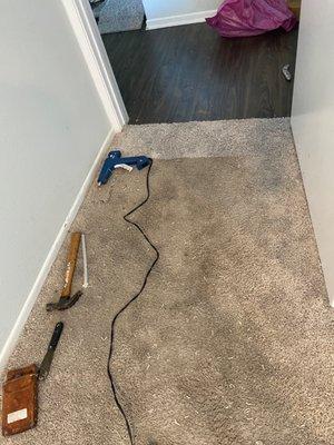 Amazing Carpet Services