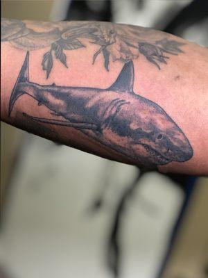 Realistic Shark