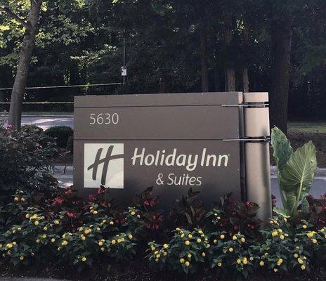 Annual Flower Beds at the Holiday Inn in Cary NC