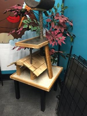 They sell custom cat trees!