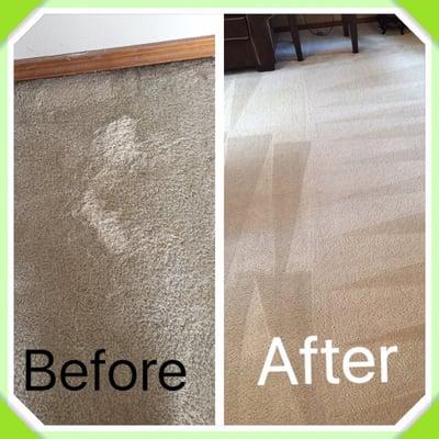 First time carpet cleaning after 6 years moving into there home!