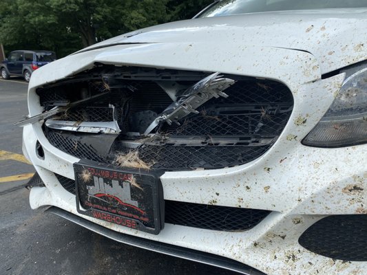 300-c class 2016 Mercedes hit deer while driving the car.  lol