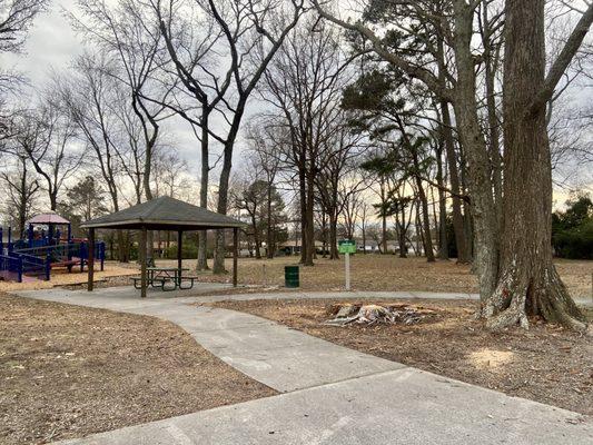 They're in the process of removing some of the trees at this park: note the large one removed in the front here.