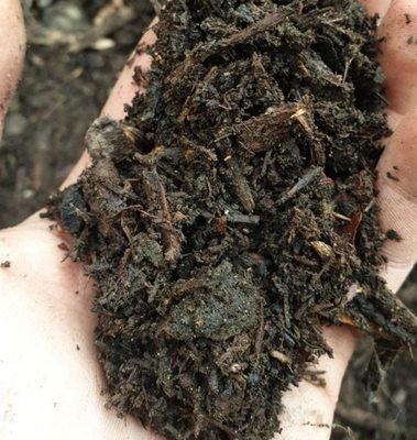 Our soil is a blend forest compost, pumice from Mt St Helens, vermicompost, and coconut husk. Complex soils make all the difference.