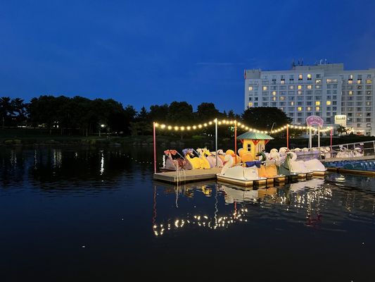 Nighttime at the Washingtonian Paddle Boats