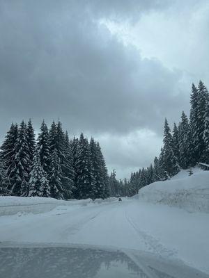 These were the best looking roads at the resort.