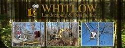 Whitlow Landscaping & Design