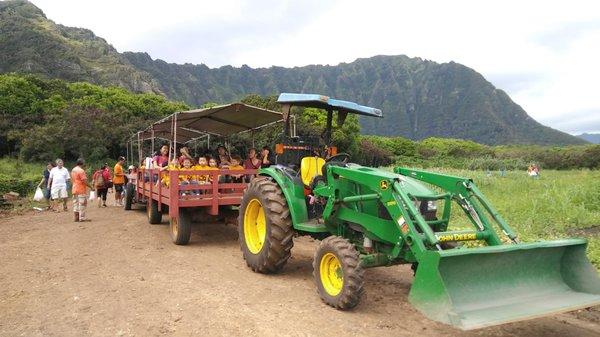 Pumpkin patch / Field Trip