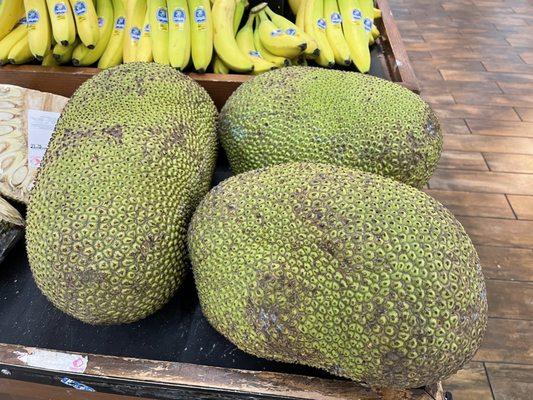 Jackfruit