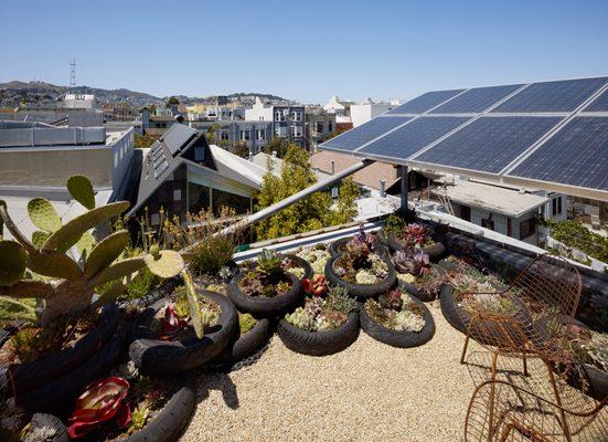 Vegetated roof with Luminalt solar collectors.