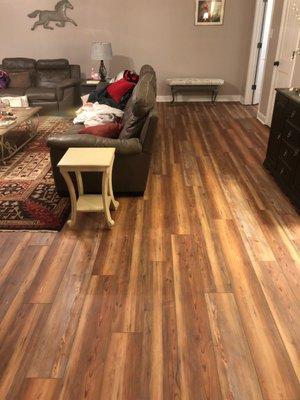 Bristol Cones Pine - LVT