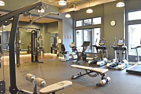 Commercial Gym by Elite Exercise Equipment