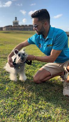 Bark Busters Salt Lake City