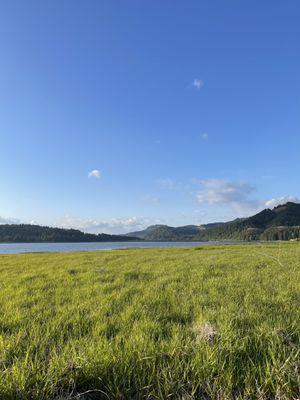 View of the lake, you can walk easy to the edge of the water.