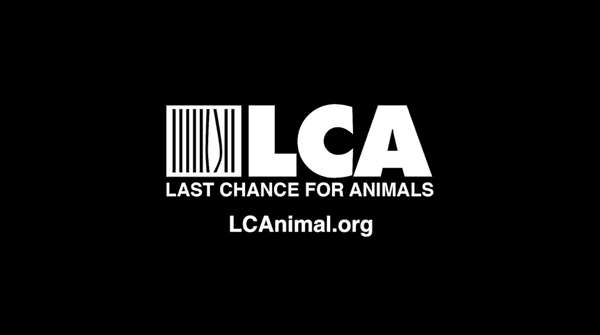 Last Chance for Animals