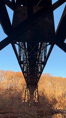 View under the bridge on our way back!