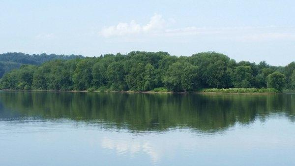 View of Sycamore Island (Verona Pa)