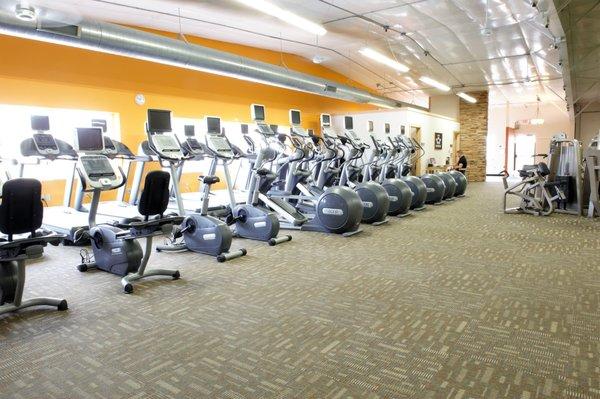 Variety of Cardio Machines