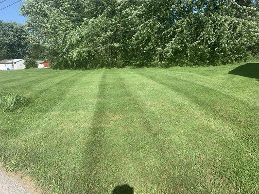 This lawn was about 1 foot tall when we started. 2 hours later it's ready for the weekend.