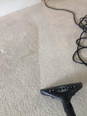 Carpet Cleaning Pembroke Pines