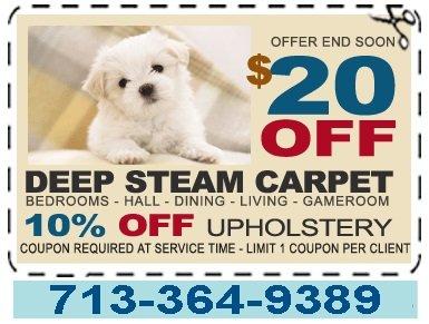 Cleaning Carpet Houston