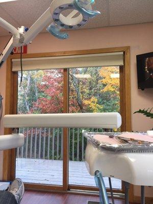 View from the dental chair