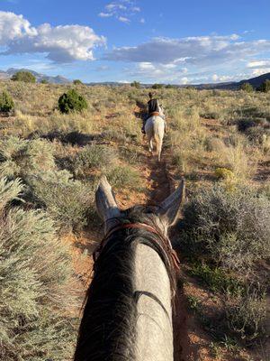 Beautiful scenery between the ears of a horse