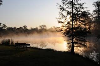 A beautiful fall morning overlooking the SECC lake