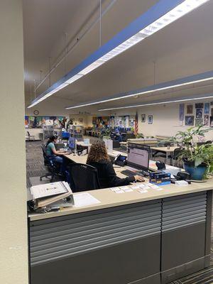 The librarian desk