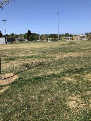 Natural grass lacrosse field