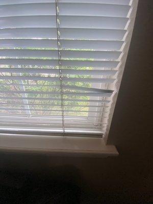 Damaged blinds