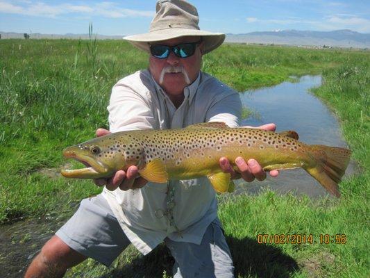 Healing Waters Lodge, Guide Bart D. with a nice brown on private water.