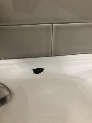 New bathtub got damaged during construction. Was left unprotected for months while work was going on.