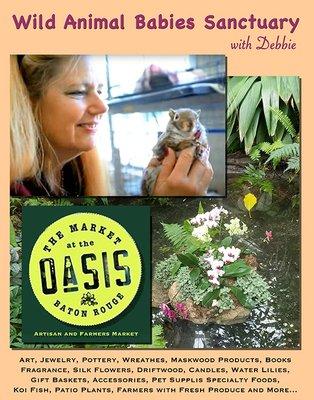 The Market At The Oasis "Wild Animal Babies Sanctuary" Digital Design by Amy Ransow, Viking Multimedia facebook.com/themarketattheoasis